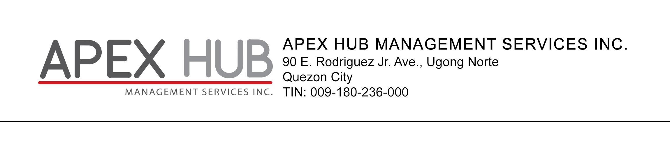 APEXHUB MANAGEMENT SERVICES INC