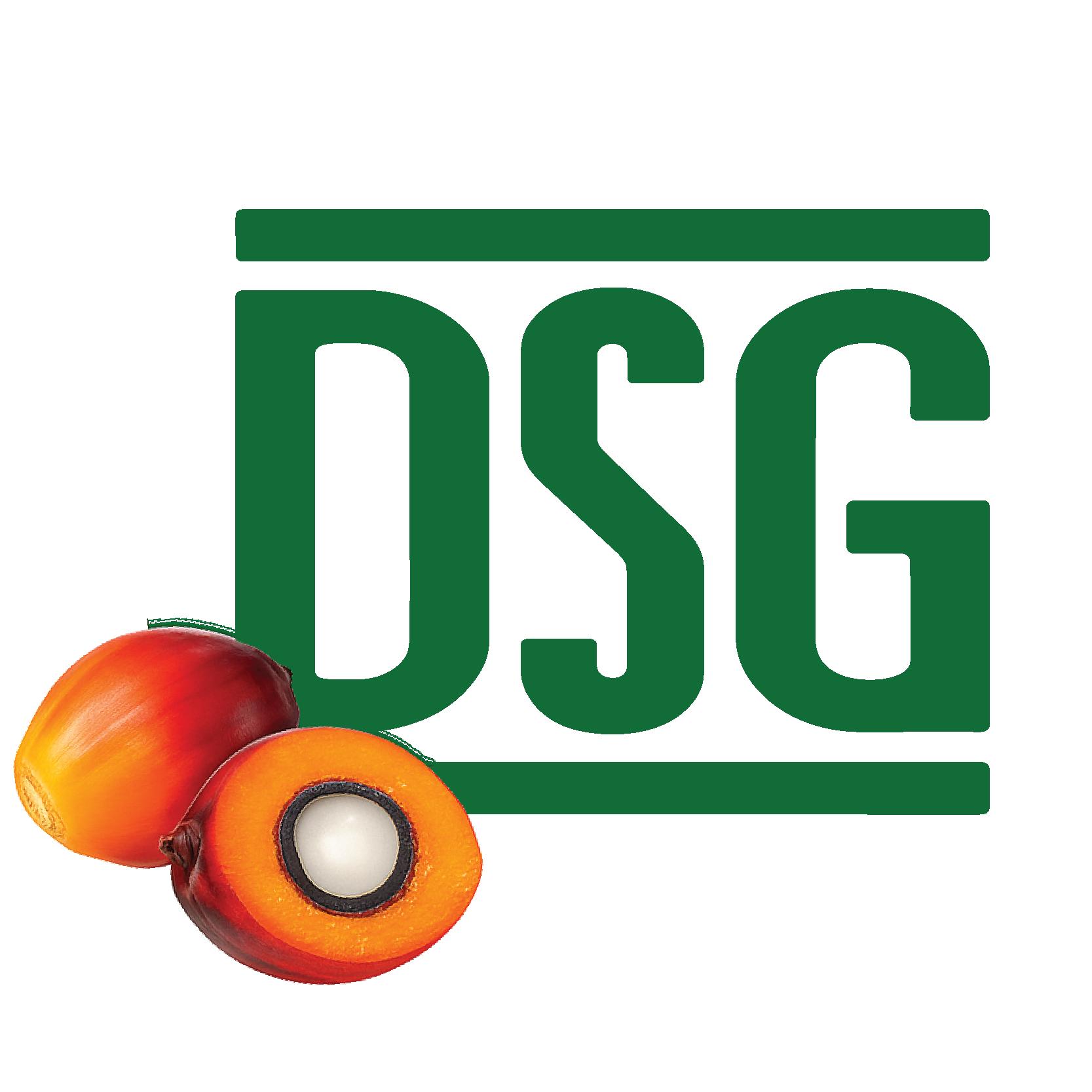 DYNASTY SYNERGY SDN. BHD.